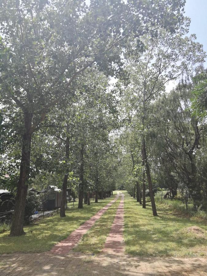 Weeping Willow Midrand Ngoại thất bức ảnh